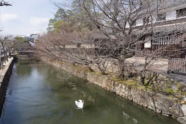 Swan at Former Ohara Family Residence